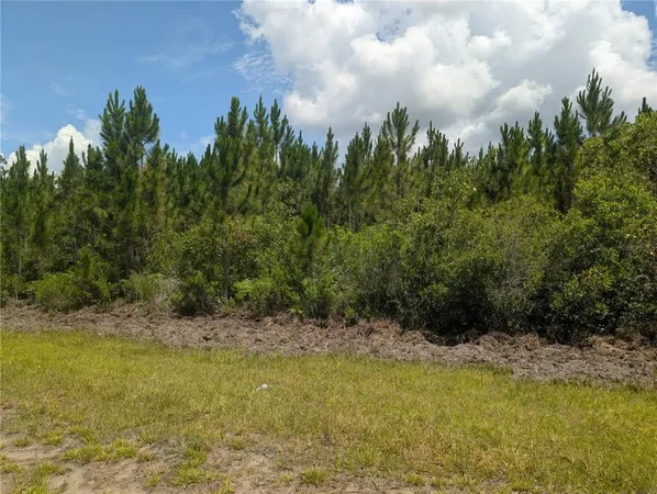 $12,000 | 106 Japonica Avenue, Indian Lake Estates, FL 33843