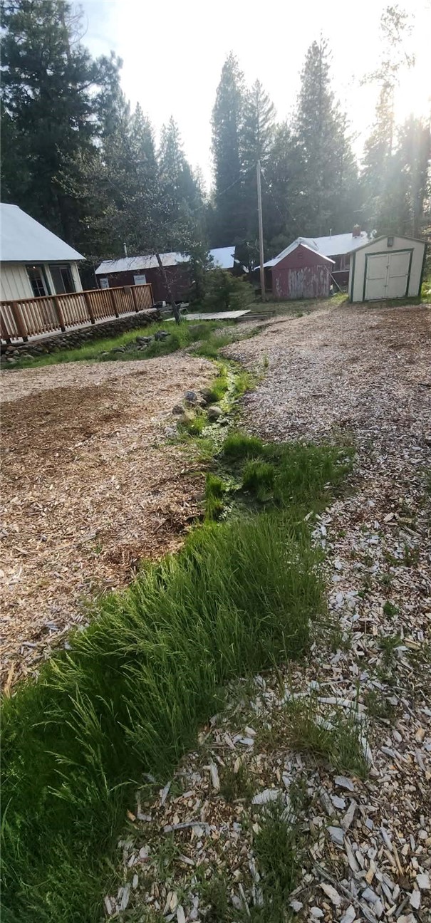 7515 Abner Lane Forest Ranch, CA 95942 - Photo 61 of 65 a backyard of a house with lots of green space