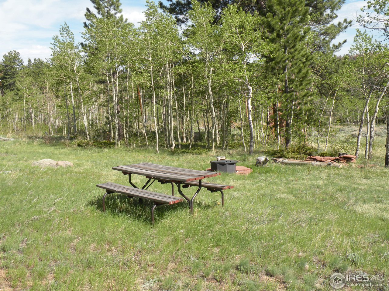 318 Cimarron Road Red Feather Lakes, CO 80545 - Photo 21 of 22 Gallery Image 21