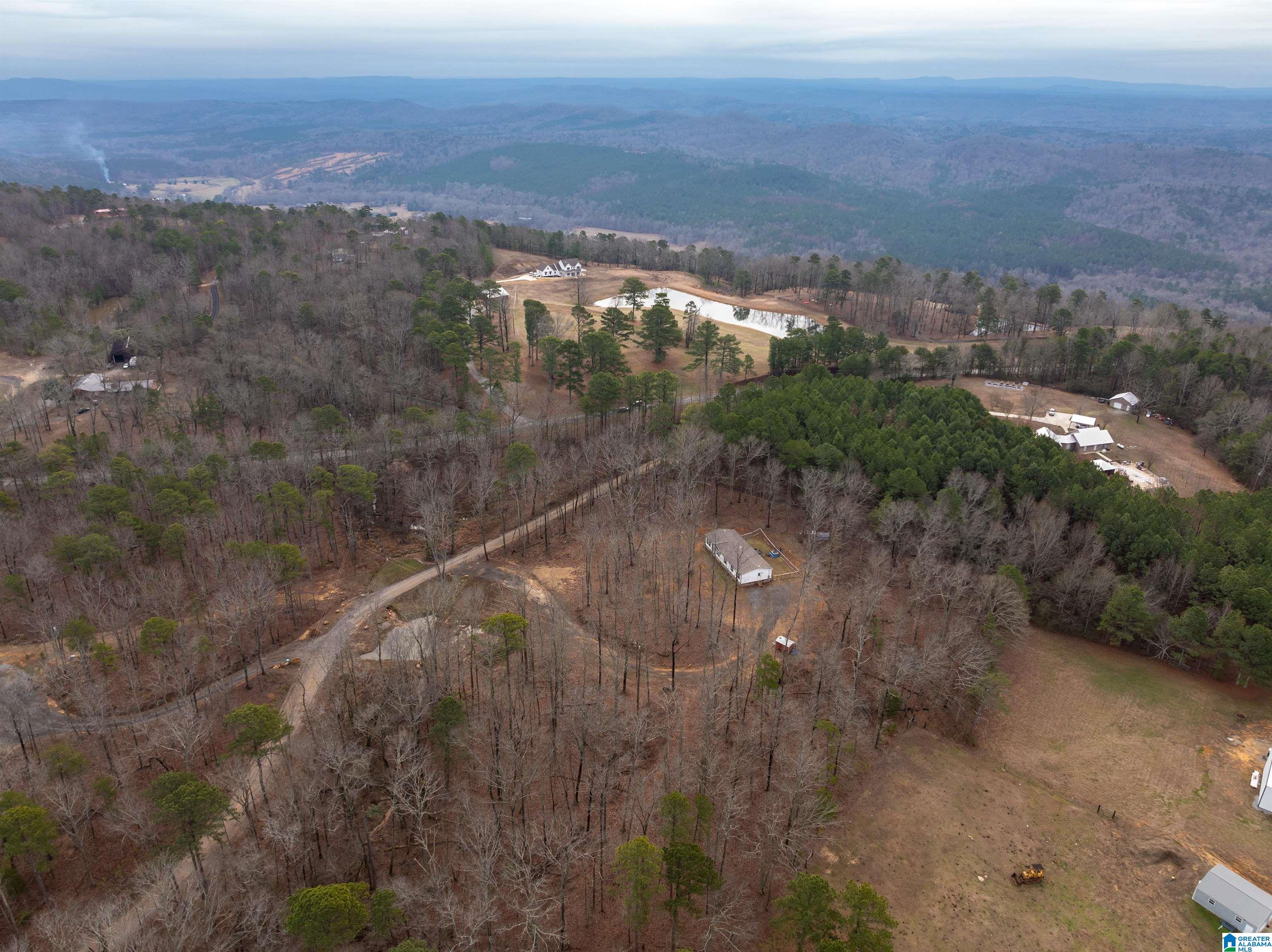 119 Cut Off Road Springville, AL 35146 - Photo 41 of 46 Gallery Image 41