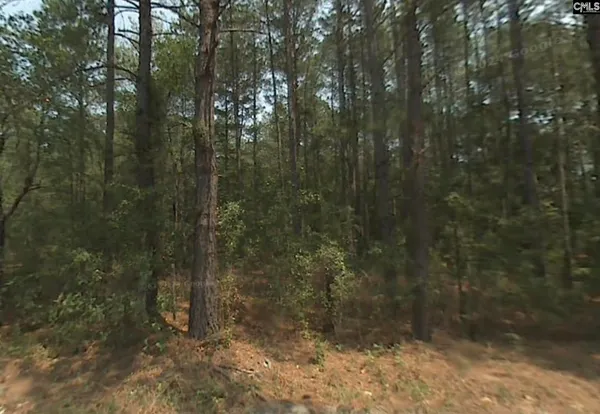 $100,000 | W/s W/s Zacks Playhouse Road, Columbia, SC 29223