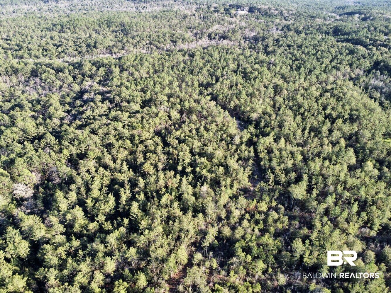 0 C C Road Chunchula, AL 36521 - Photo 23 of 27