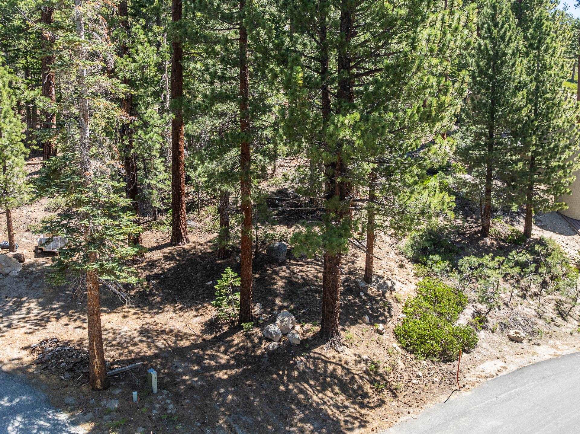 198 Grindelwald Road Mammoth Lakes, CA 93546 - Photo 10 of 17