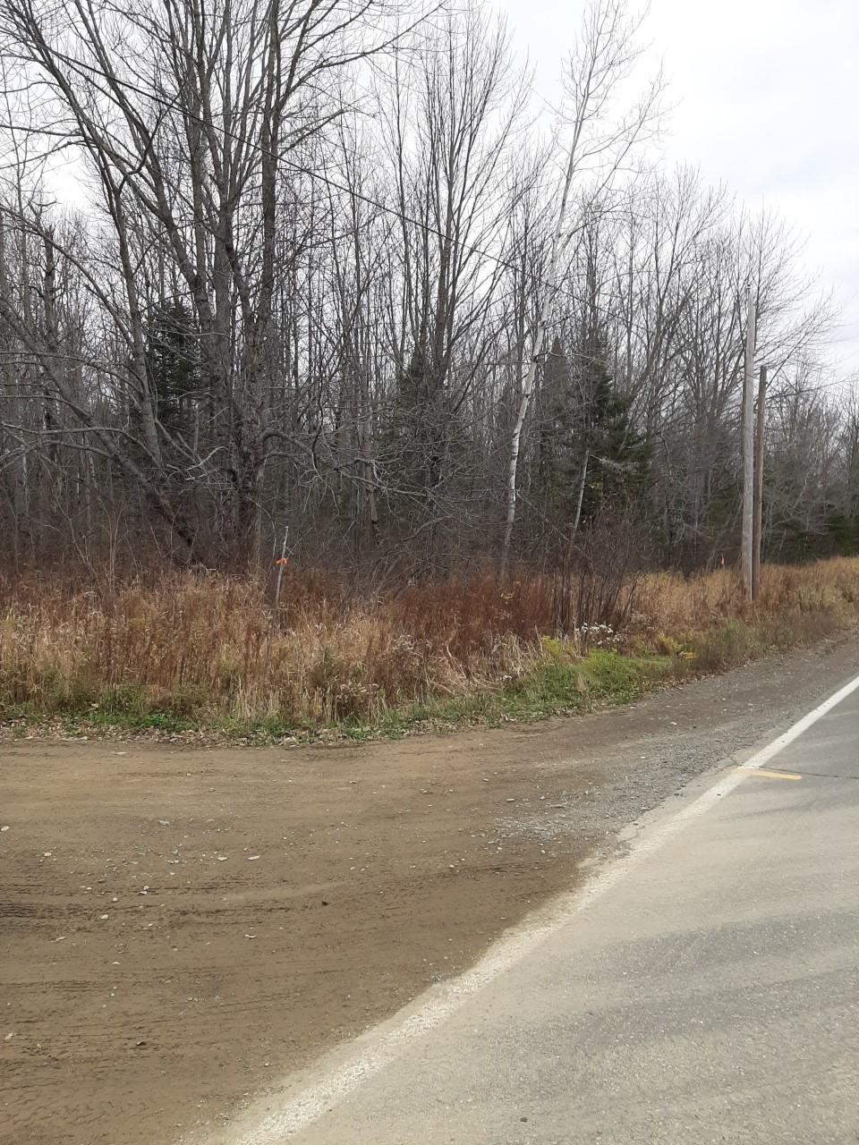 0 Us Route Linneus, ME 04730 - Photo 2 of 2 north view 2a fire rd dobbert