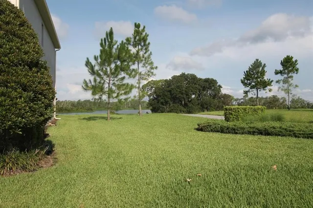 a view of a lake from a yard