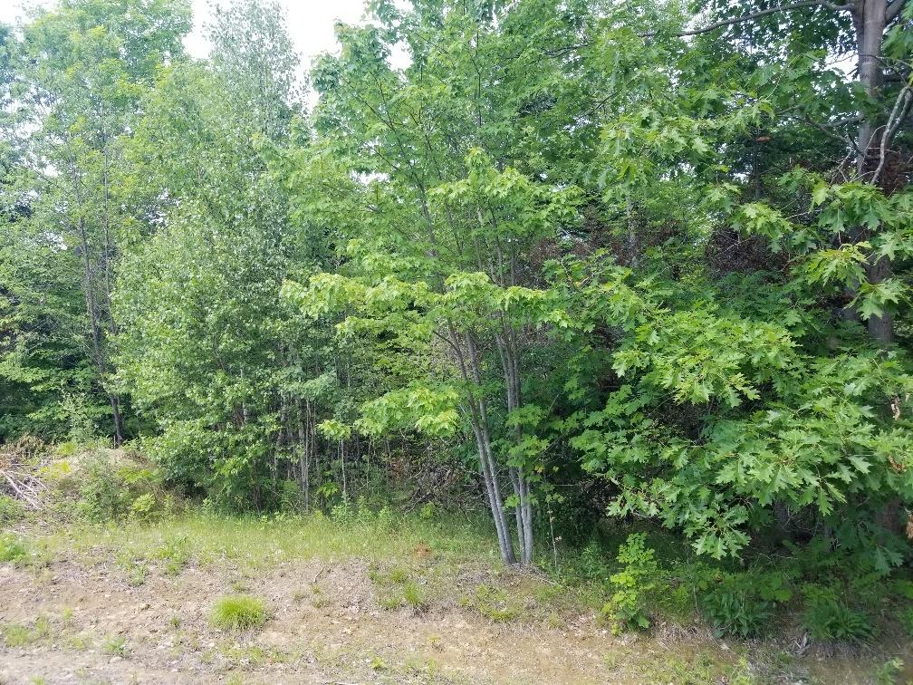 1194 New Sharon Road Farmington, ME 04938 - Photo 15 of 26 20210609_140329_resized