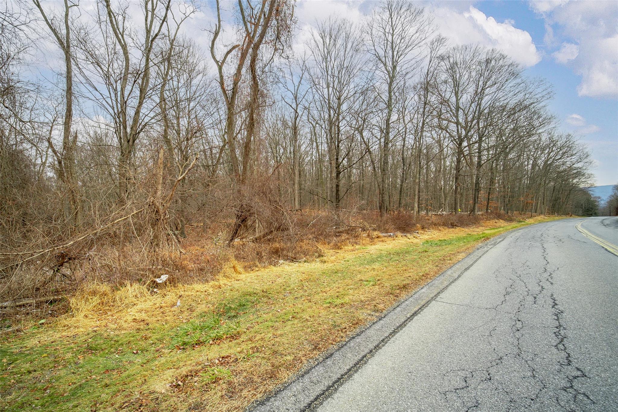 Baker Road Hopewell Junction, NY 12533 - Photo 2 of 10 View of road