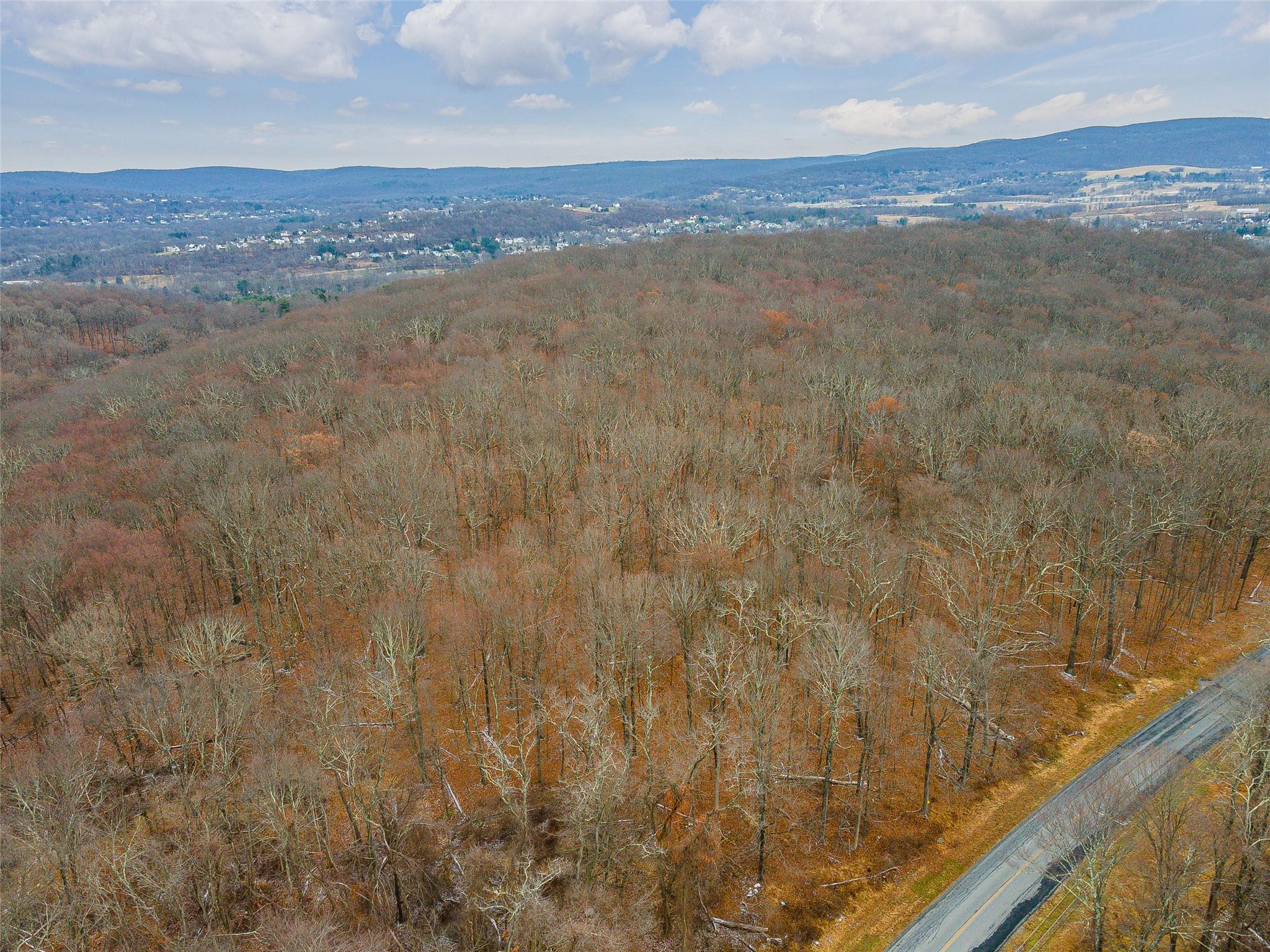 Baker Road Hopewell Junction, NY 12533 - Photo 7 of 10 Birds eye view of property with a mountain view