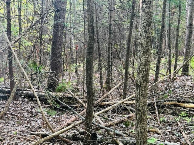 Lot#41-5 Guilford Center Road Guilford, ME 04443 - Photo 5 of 6 20230525172041766474000000-o