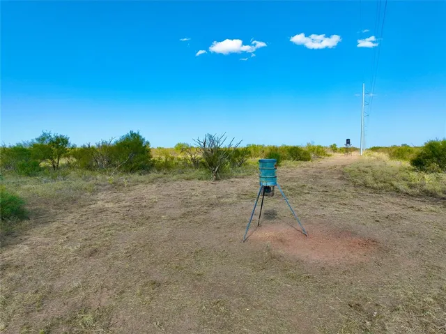 a view of a room with a tree