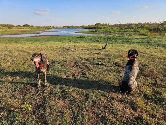 $427,000 | 8340 Farm To Market 2393, Dean, TX 76305