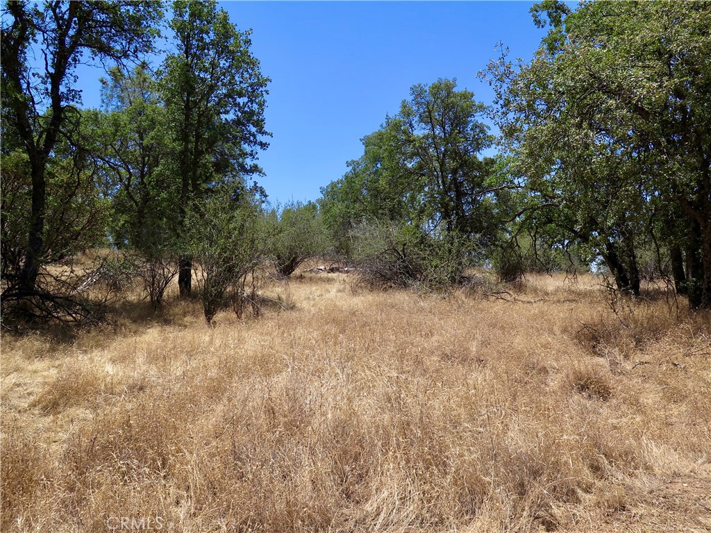 0 Ramblin Road Mariposa, CA 95338 - Photo 3 of 13