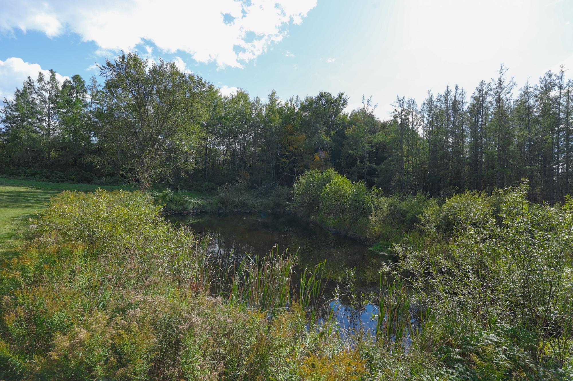 W15319 Town Line Road Antigo, WI 54409 - Photo 66 of 80 Gallery Image 66