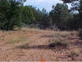 35 Shadow Rock Ranch Seligman, AZ 86337 - Photo 1 of 1 Primary Photo