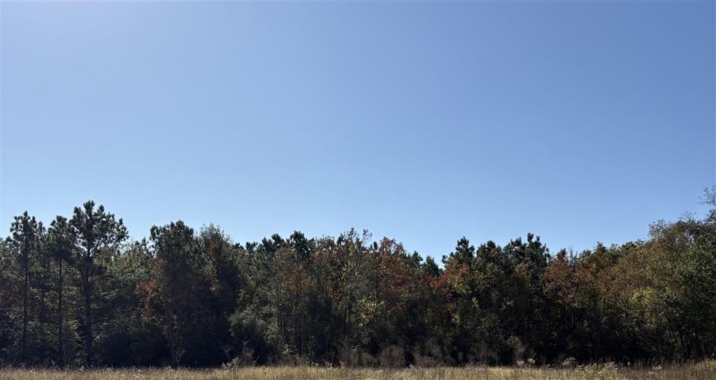 Tbd Bucklin Road Jennings, LA 70546 - Photo 3 of 7