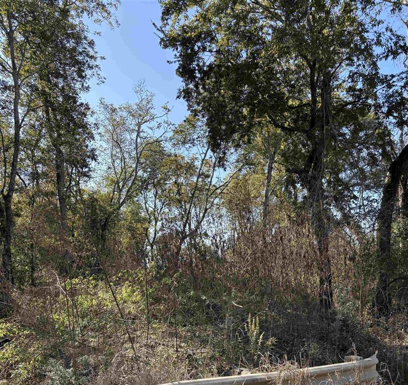 Tbd Bucklin Road Jennings, LA 70546 - Photo 4 of 7