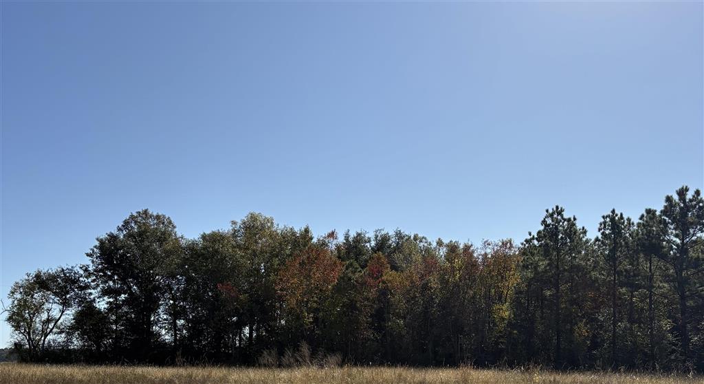 Tbd Bucklin Road Jennings, LA 70546 - Photo 5 of 7