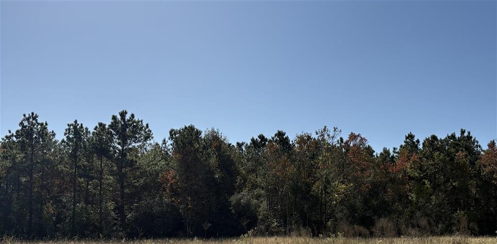 Tbd Bucklin Road Jennings, LA 70546 - Photo 7 of 7