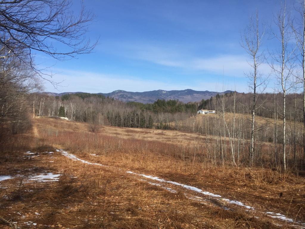 Lot 4 Kew Vasseur Road Moretown, VT 05660 - Photo 2 of 6