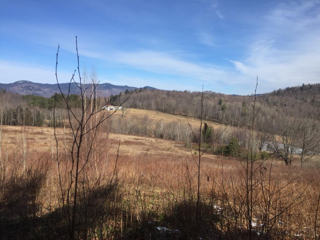 Lot 4 Kew Vasseur Road Moretown, VT 05660 - Photo 3 of 6