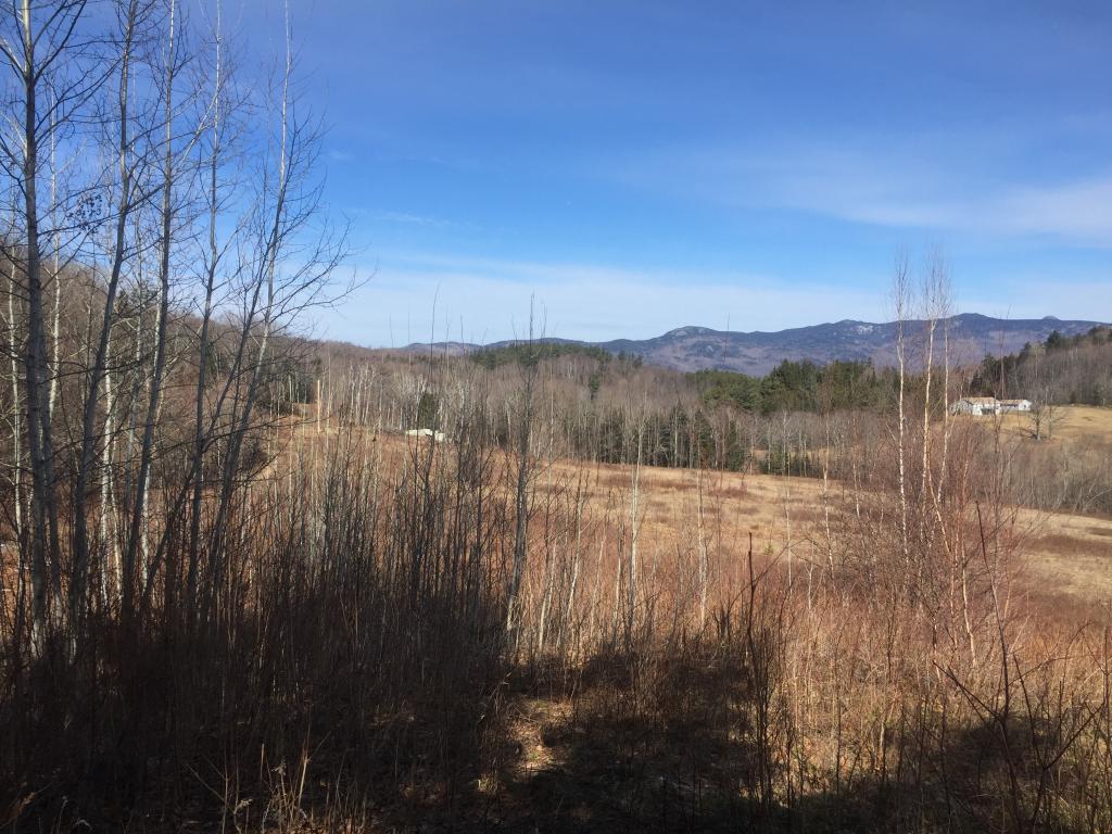 Lot 4 Kew Vasseur Road Moretown, VT 05660 - Photo 4 of 6