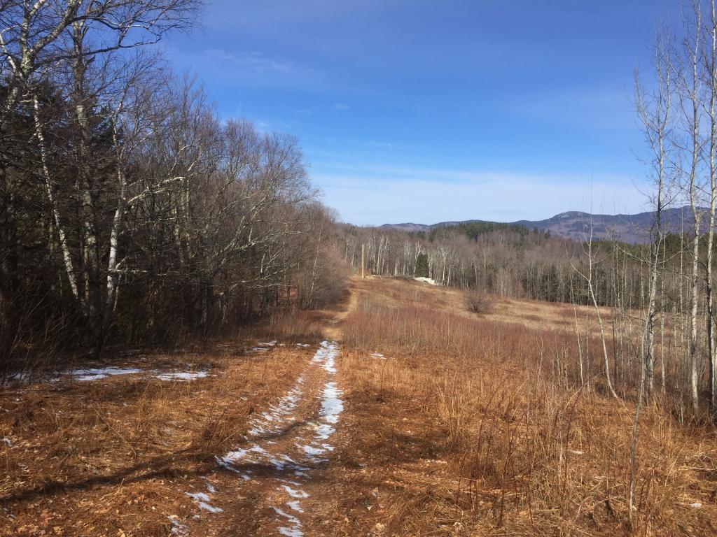Lot 4 Kew Vasseur Road Moretown, VT 05660 - Photo 5 of 6