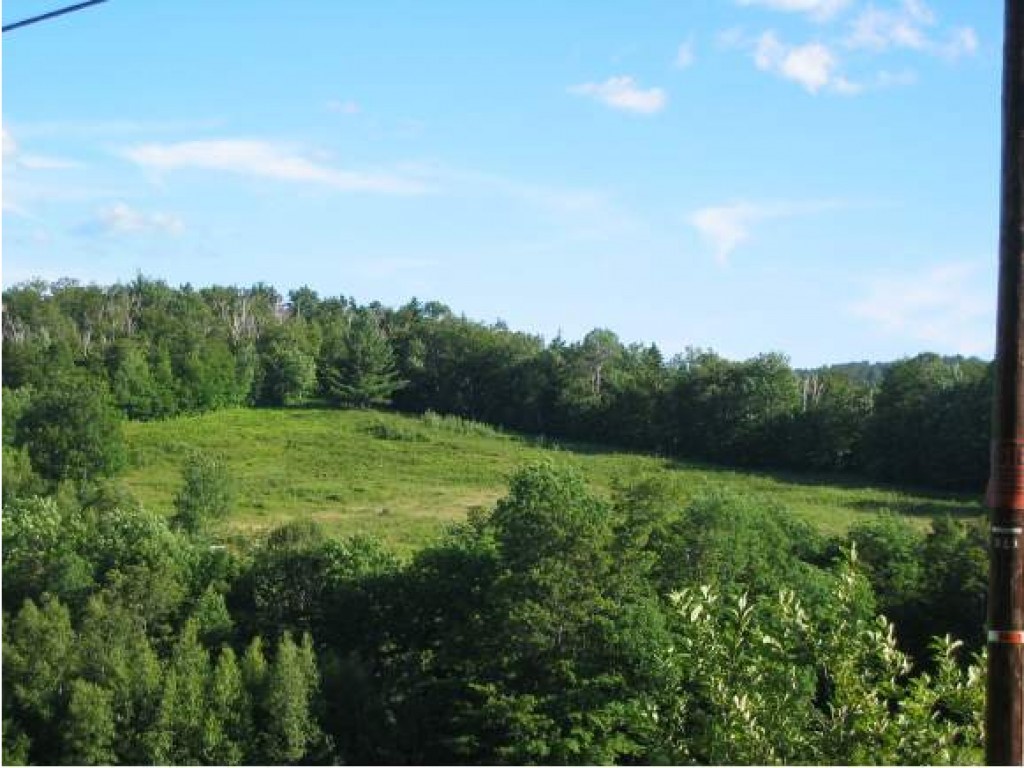 Lot 4 Kew Vasseur Road Moretown, VT 05660 - Photo 6 of 6