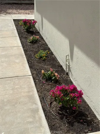 $2,250 | 1342 Opal Avenue, Mentone, CA 92359