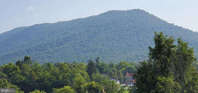 a view of a field with a tree in the background