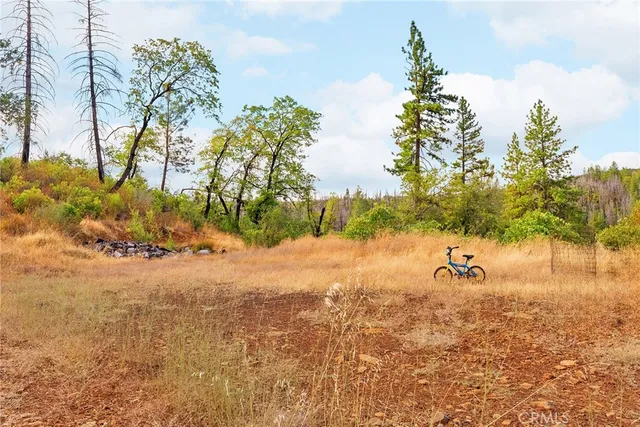 a view of backyard with wooden fence