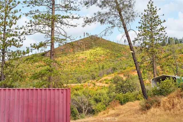 a view of a backyard