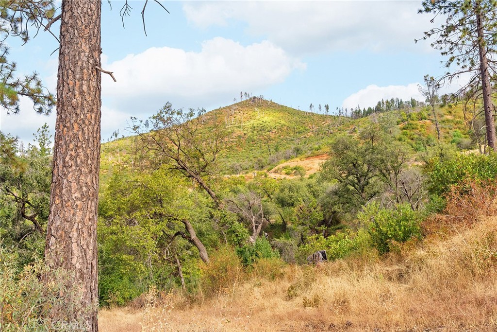 0 Deadwood Road Oroville, CA 95965 - Photo 20 of 55 a view of mountain