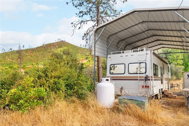 a view of a large trees