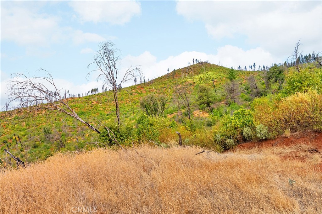 0 Deadwood Road Oroville, CA 95965 - Photo 36 of 55 a view of a yard