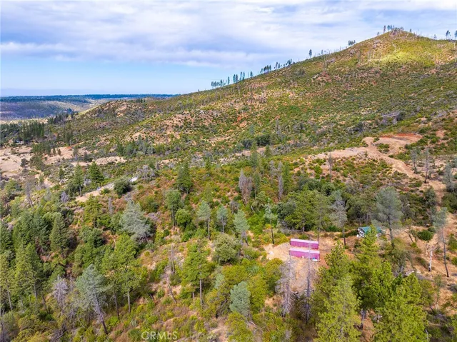 a view of a lush green space