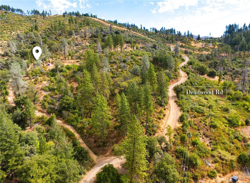 0 Deadwood Road Oroville, CA 95965 - Photo 50 of 55 a view of a bunch of trees and bushes
