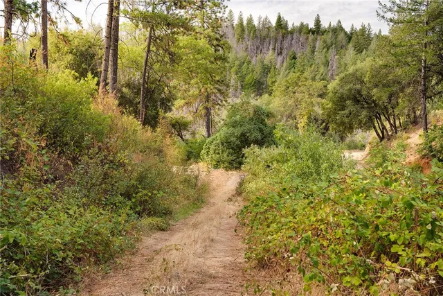 $149,000 | 0 Deadwood Road, Oroville, CA 95965