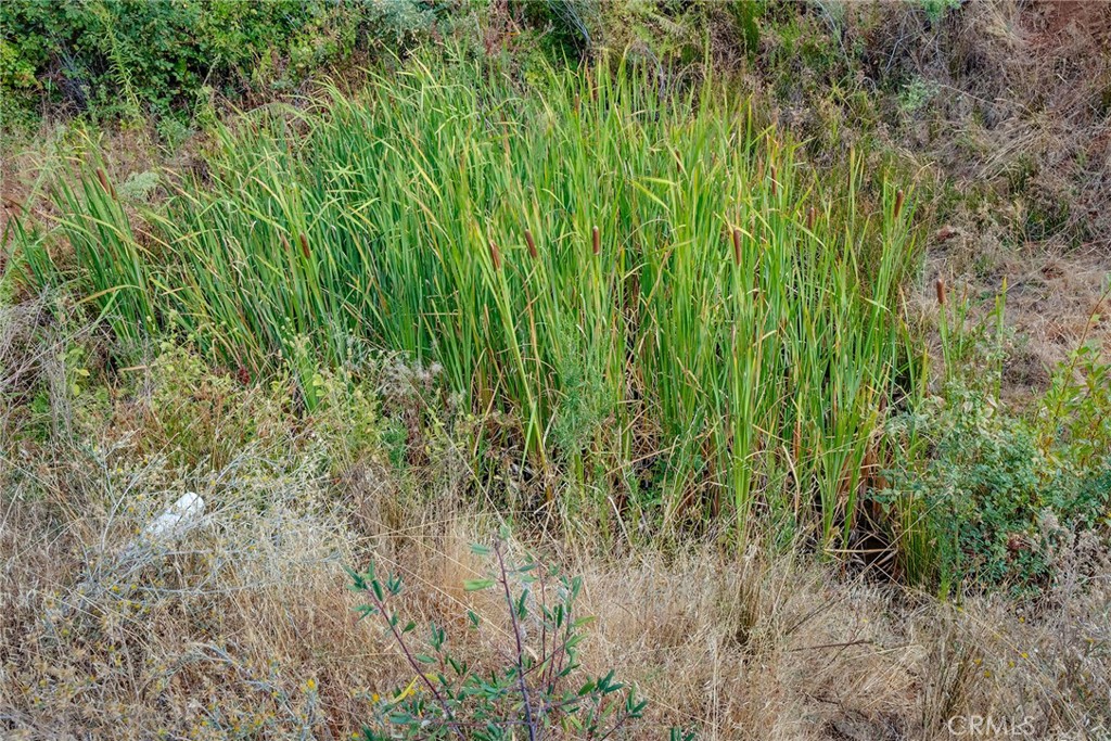 0 Deadwood Road Oroville, CA 95965 - Photo 53 of 55 a view of a lush green space