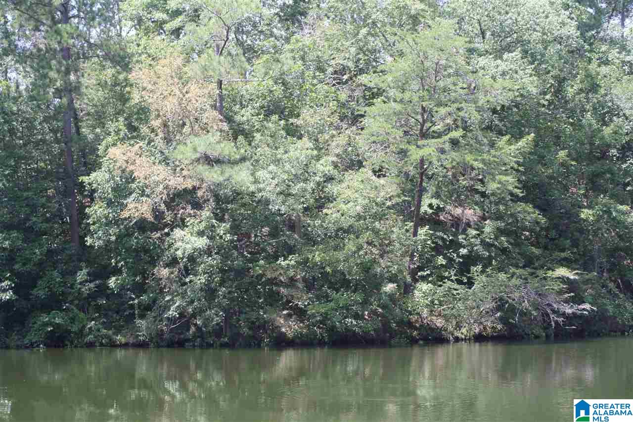 Franklin Ferry Road, Unit 17 Oakman, AL 35579 - Photo 14 of 22