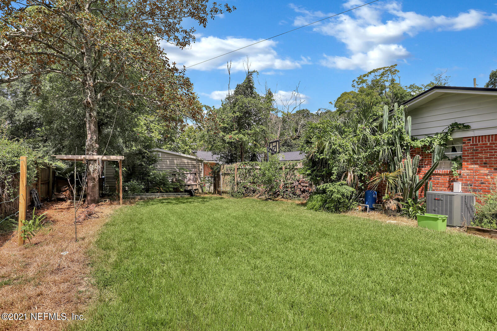 8296 Alderman Road Jacksonville, FL 32211 - Photo 23 of 25 Back Yard