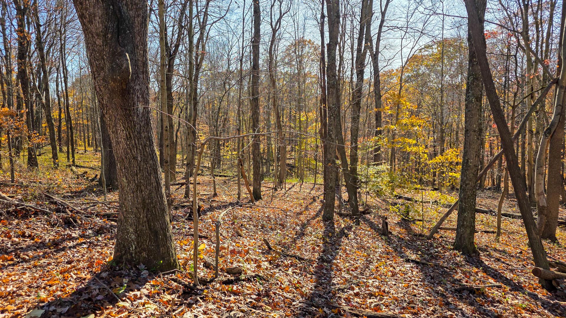 680 Nibert Road, Unit PONDS POPLAR RIDGE TRACT 10) Gallipolis, OH 45631 - Photo 33 of 46 CT-33