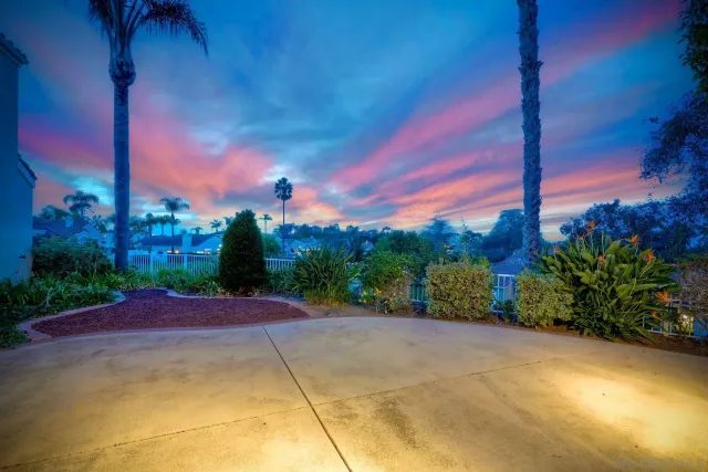 a view of a yard with an tree