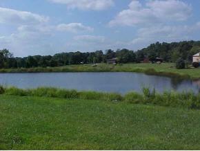 7545 Keith Donaldson Road Freetown, IN 47235 - Photo 3 of 8