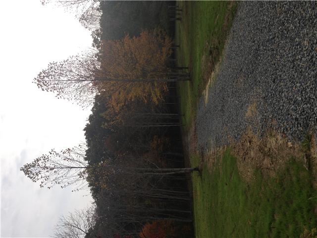 4 Bending Chestnut Road Franklin, TN 37064 - Photo 3 of 9 Gallery Image 3