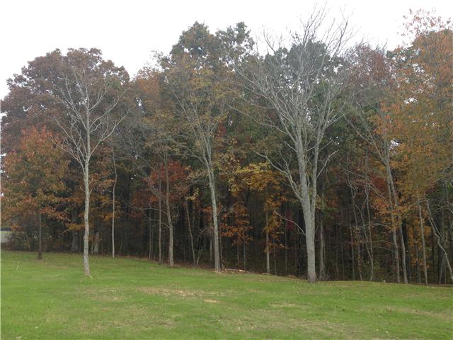 4 Bending Chestnut Road Franklin, TN 37064 - Photo 4 of 9 Gallery Image 4