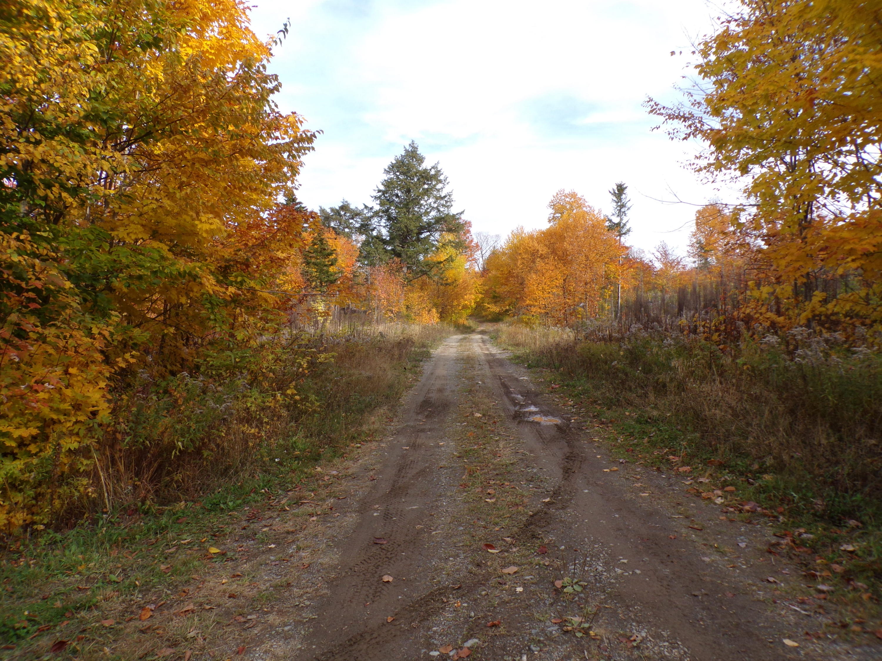 999 Sugar Berth Road Oxbow, ME 04764 - Photo 58 of 59 102_0404