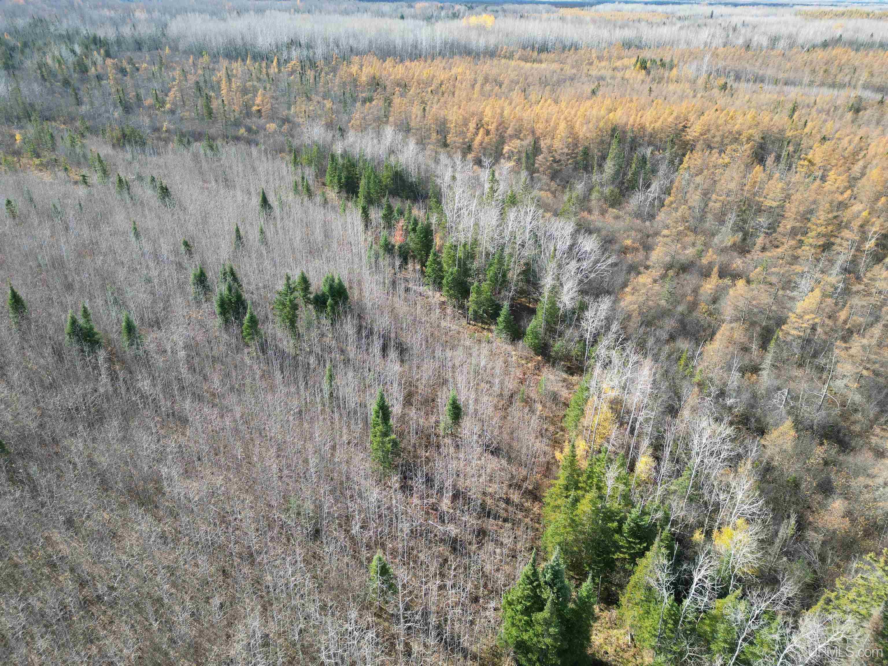 27.5 Rd 52 Ac Trail Gladstone, MI 49837 - Photo 6 of 20