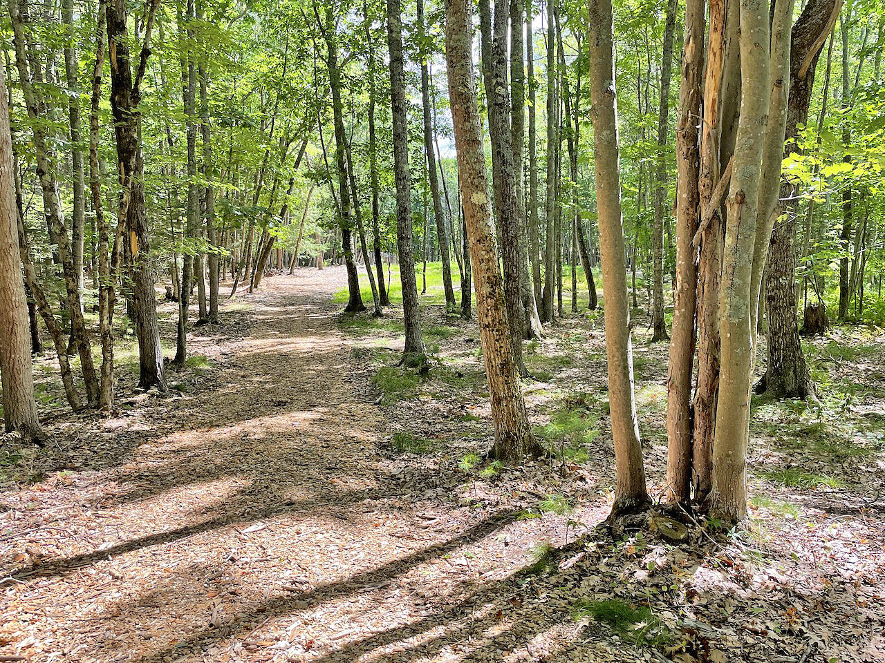 18 Meadow Road Arrowsic, ME 04530 - Photo 34 of 49 Path to Retreat