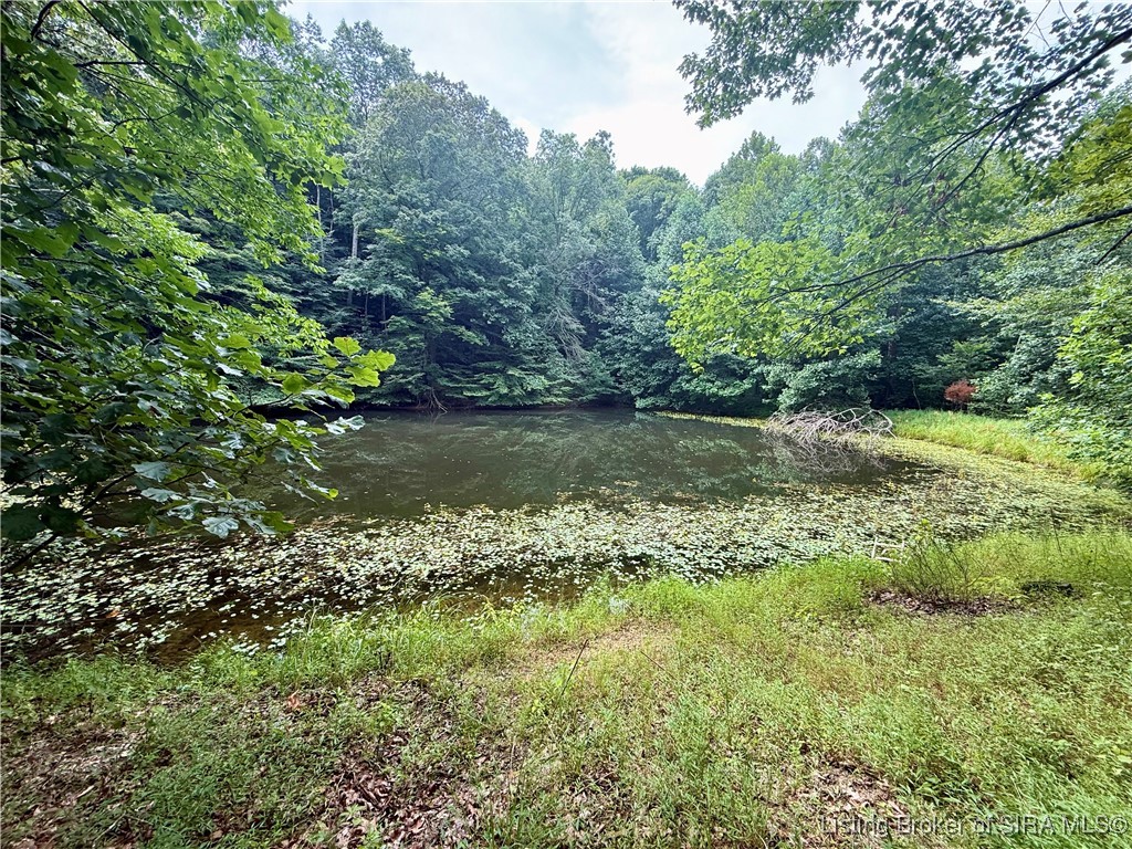 2032 West Goat Hollow Road Vallonia, IN 47281 - Photo 19 of 39