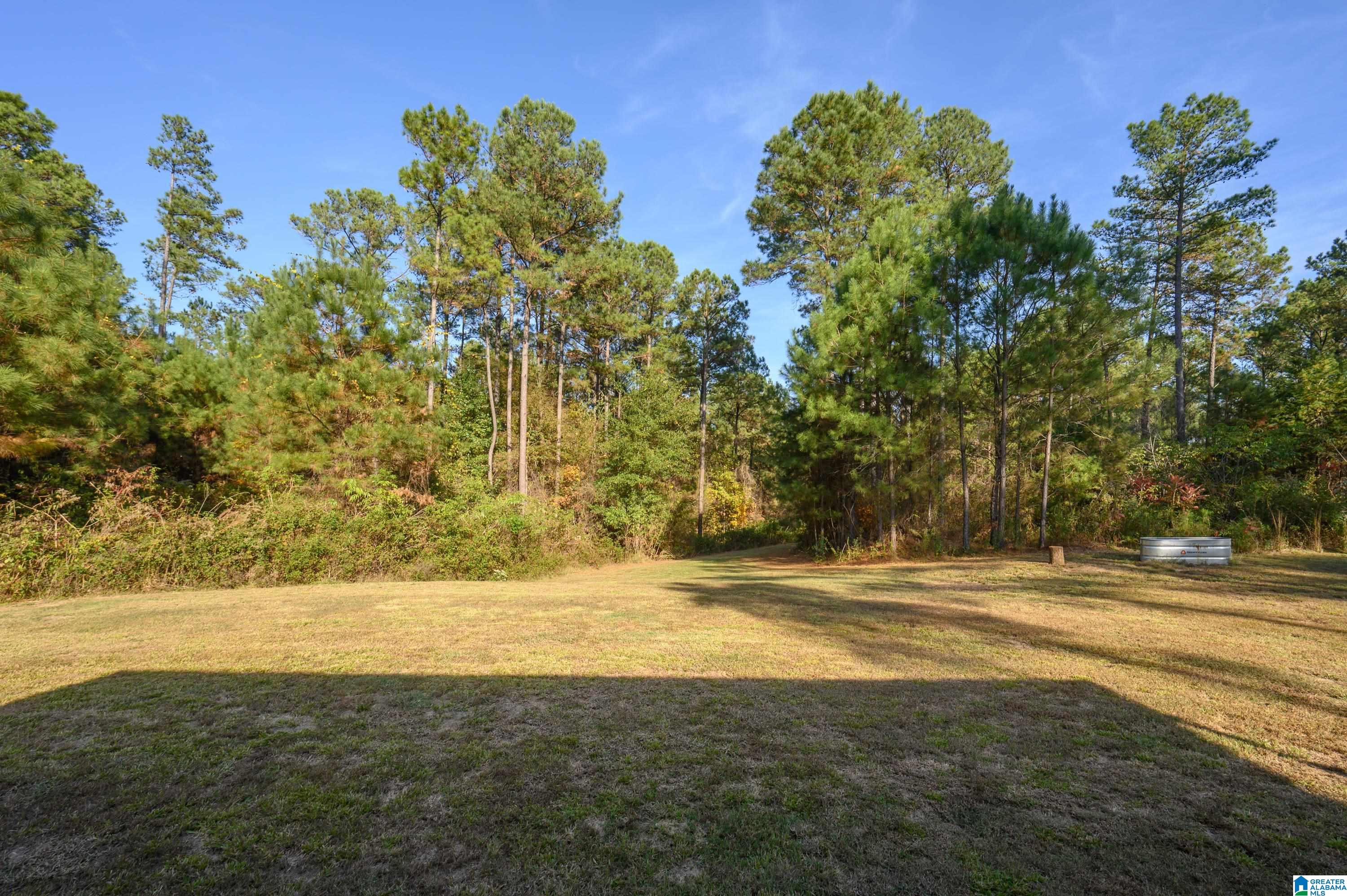 203 Gould Road Columbiana, AL 35051 - Photo 39 of 56